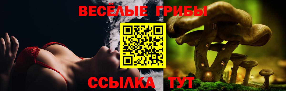 Галлюциногенные грибы Cubensis Лесной